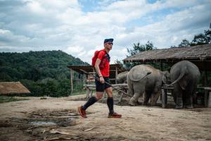 BIB: 
                            <button type="button" onclick="openModal(22423395)" class="btn btn-primary btn-sm float-right btn-popup" data-toggle="modal" data-target=".modal-high-quality">
                        <i class="fas fa-shopping-cart"></i> Add to Cart
                    </button>
                                            <button type="button" onclick="isThisMe(22423395, true)" class="btn btn-success btn-sm float-right btn-popup btn-isme hidden" data-toggle="tooltip" data-placement="bottom" title="นี่คือรูปของคุณใช่ไหม คลิกที่นี่เพื่อเอาเข้าอัลบั้ม">
                        <i class="fas fa-plus"></i> Add to album
                    </button>
                    <button type="button" onclick="isThisMe(22423395, false)" class="btn btn-warning btn-sm float-right btn-popup btn-isnotme hidden">
                        <i class="fas fa-ban"></i> Remove from album
                    </button>